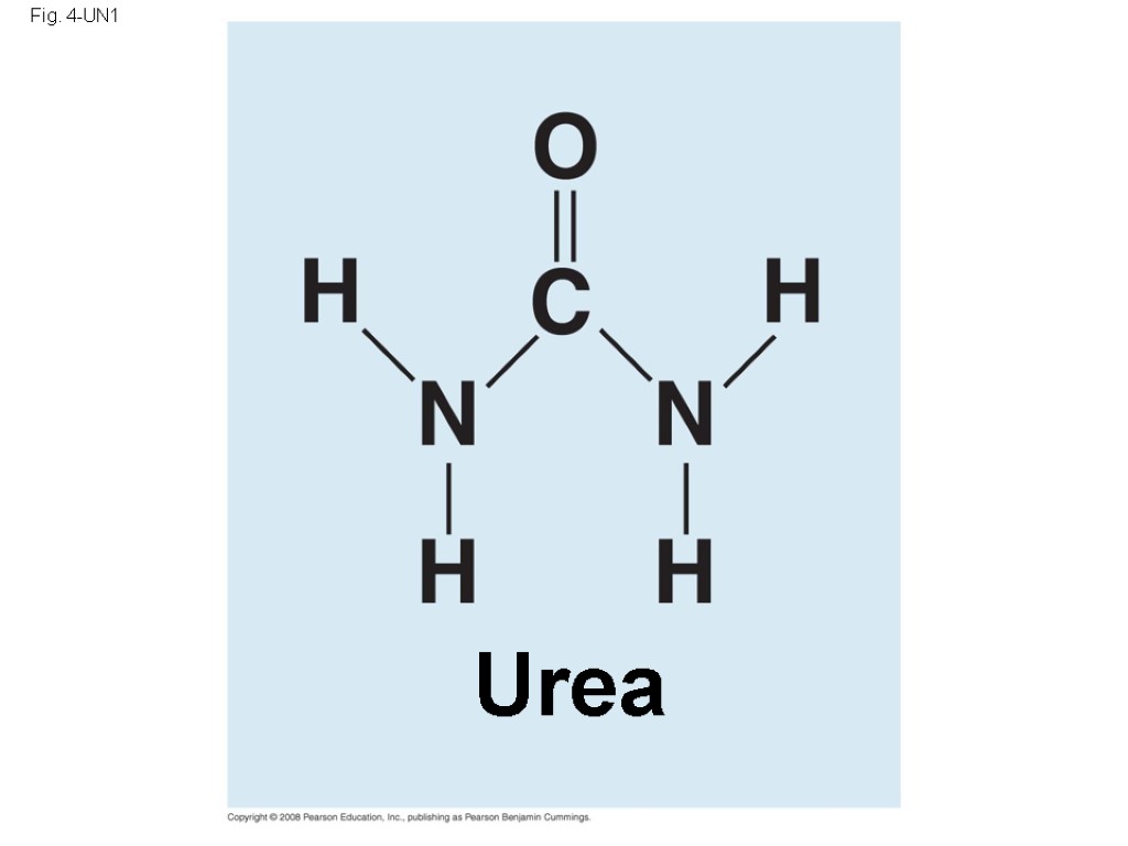 Fig. 4-UN1 Urea